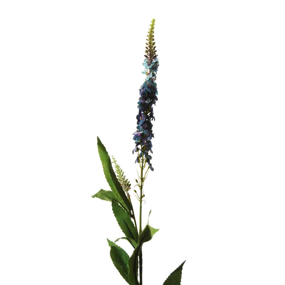 Veronica 76cm blue 3