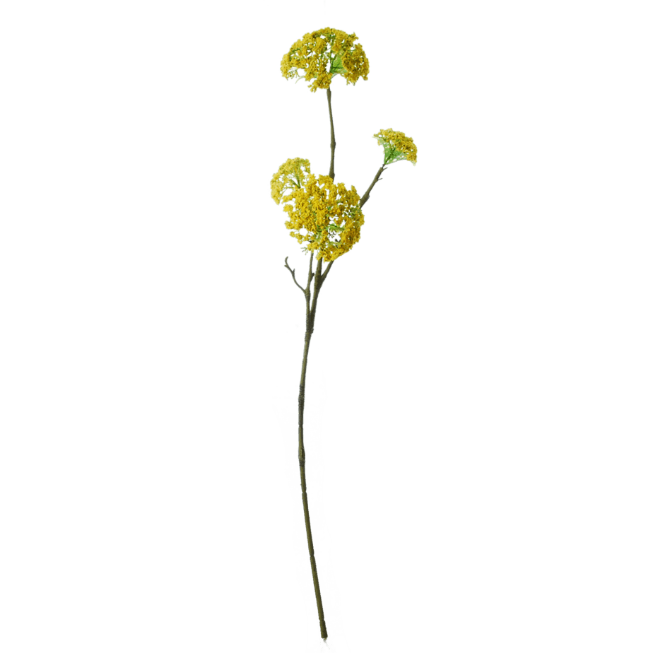 FlowerDutchess Lange Dille tak 89cm geel