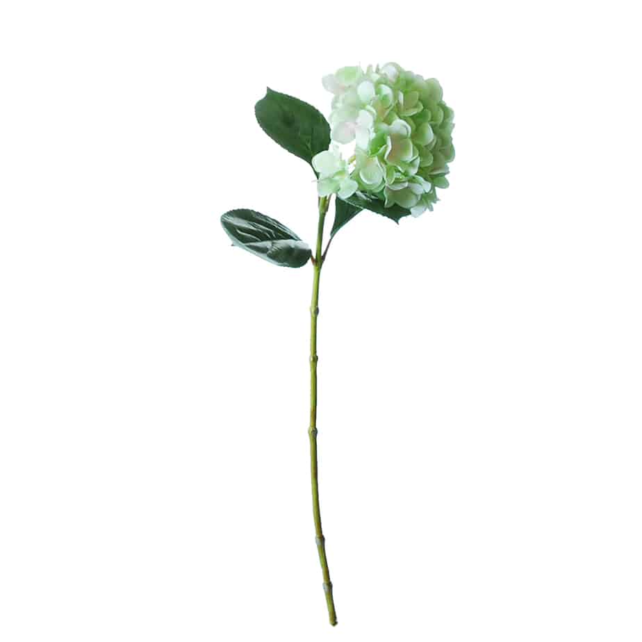 Flowerdutchess Hortensia 67cm groen licht blauw 3