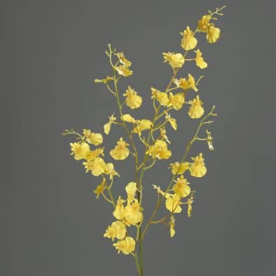 Dancing orchid 92cm yellow 1
