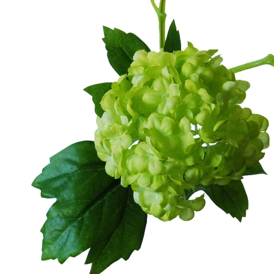 FlowerDutchess Sneeuwbal 3 bloemkoppen 80cm groen 2