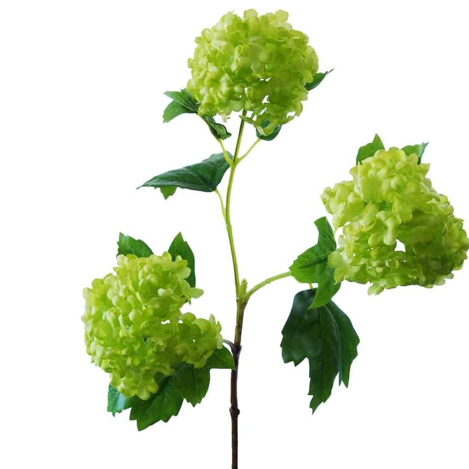 FlowerDutchess Sneeuwbal 3 bloemkoppen 80cm groen