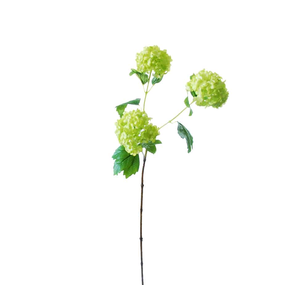 FlowerDutchess Sneeuwbal 3 bloemkoppen 80cm groen 5