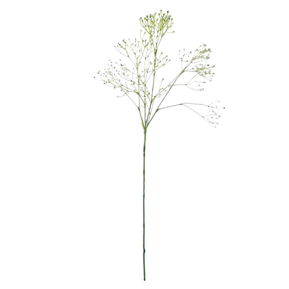 FlowerDutchess Gipskruid 85cm wit 5