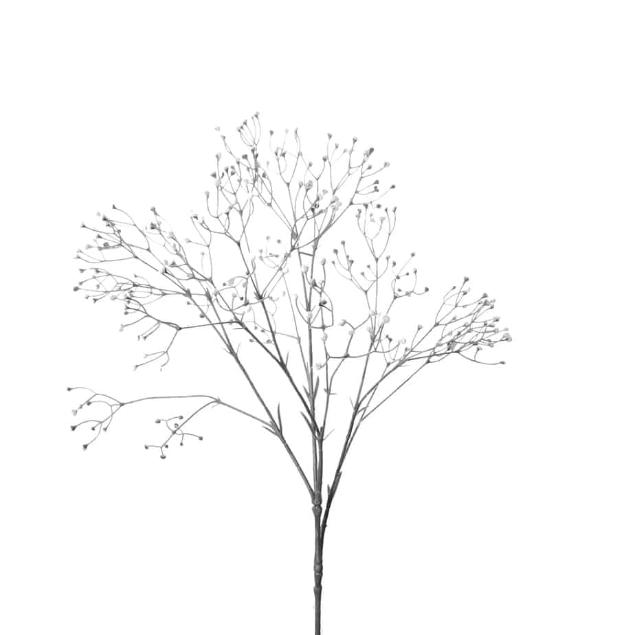 FlowerDutchess Gipskruid 85cm wit