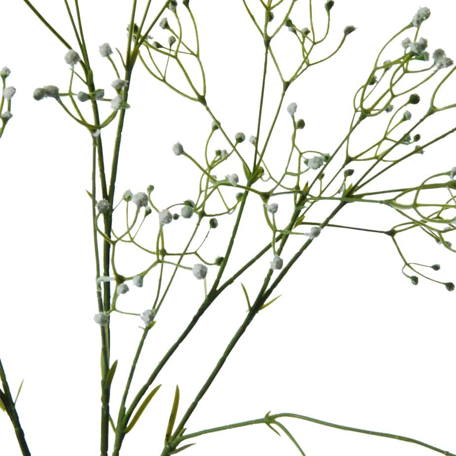 FlowerDutchess Gipskruid 85cm wit 7