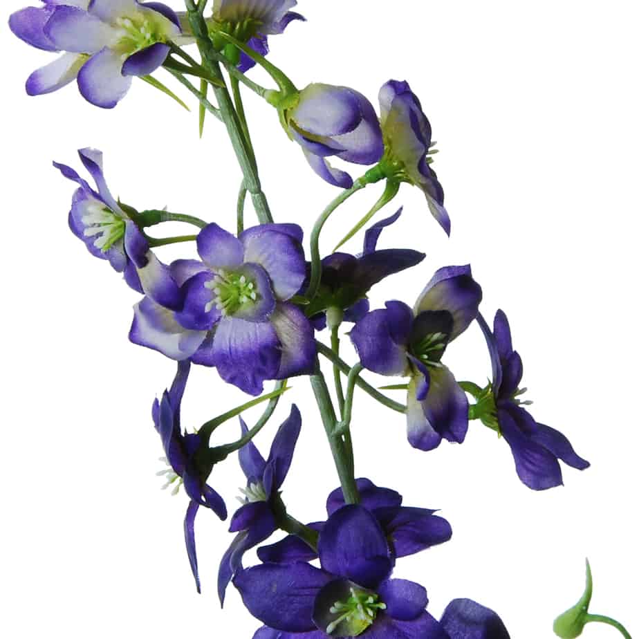 FlowerDutchess ridderspoor 80cm paars 2