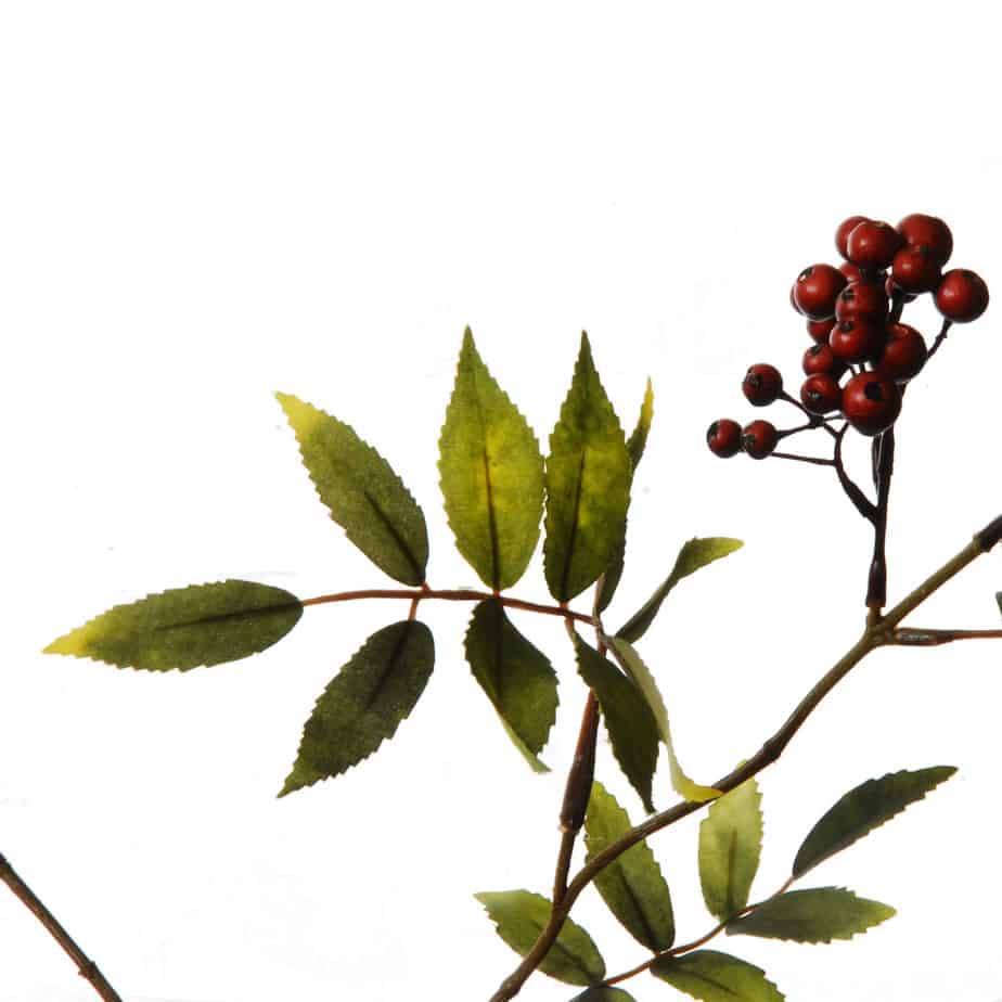 Bessentak 83cm bordeaux 2