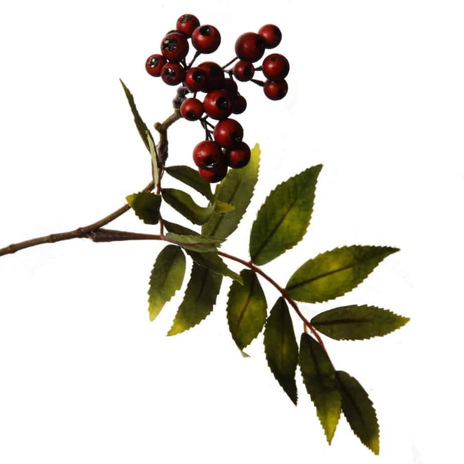 Bessentak 83cm bordeaux