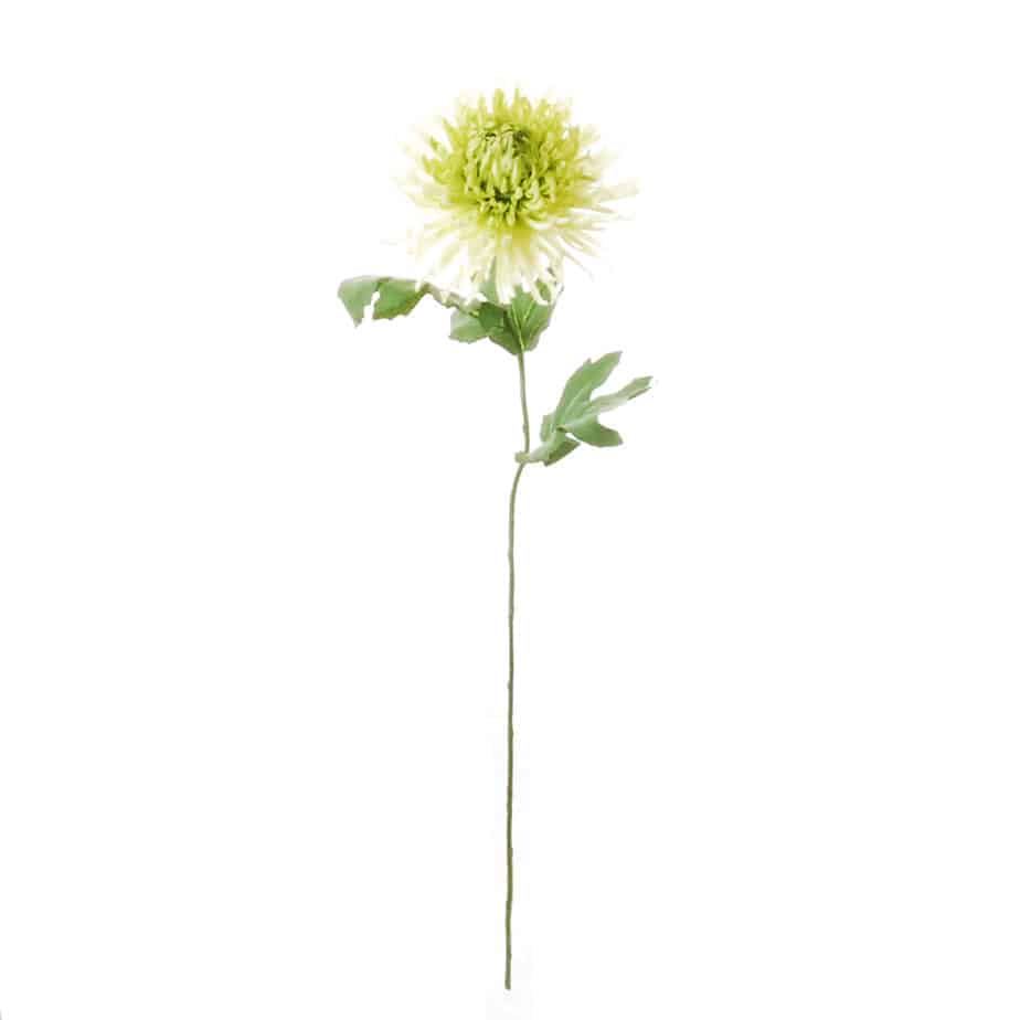 Chrysant 65cm groen 3