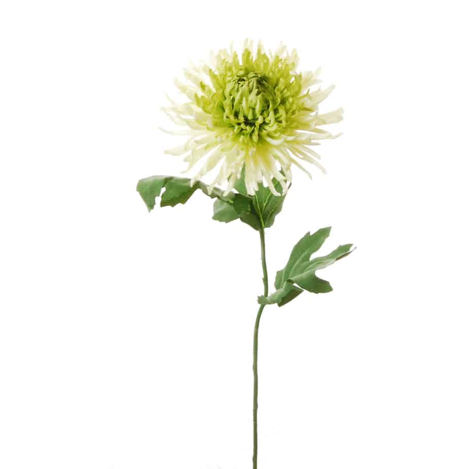 Chrysant 65cm groen 4