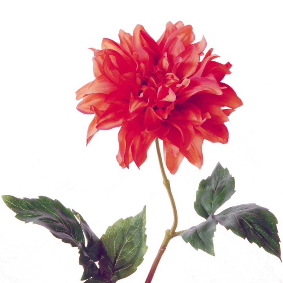 Dahlia 62cm oranje