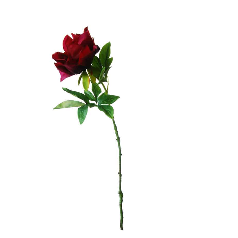 Pioenroos 56 cm roze rood 5 scaled