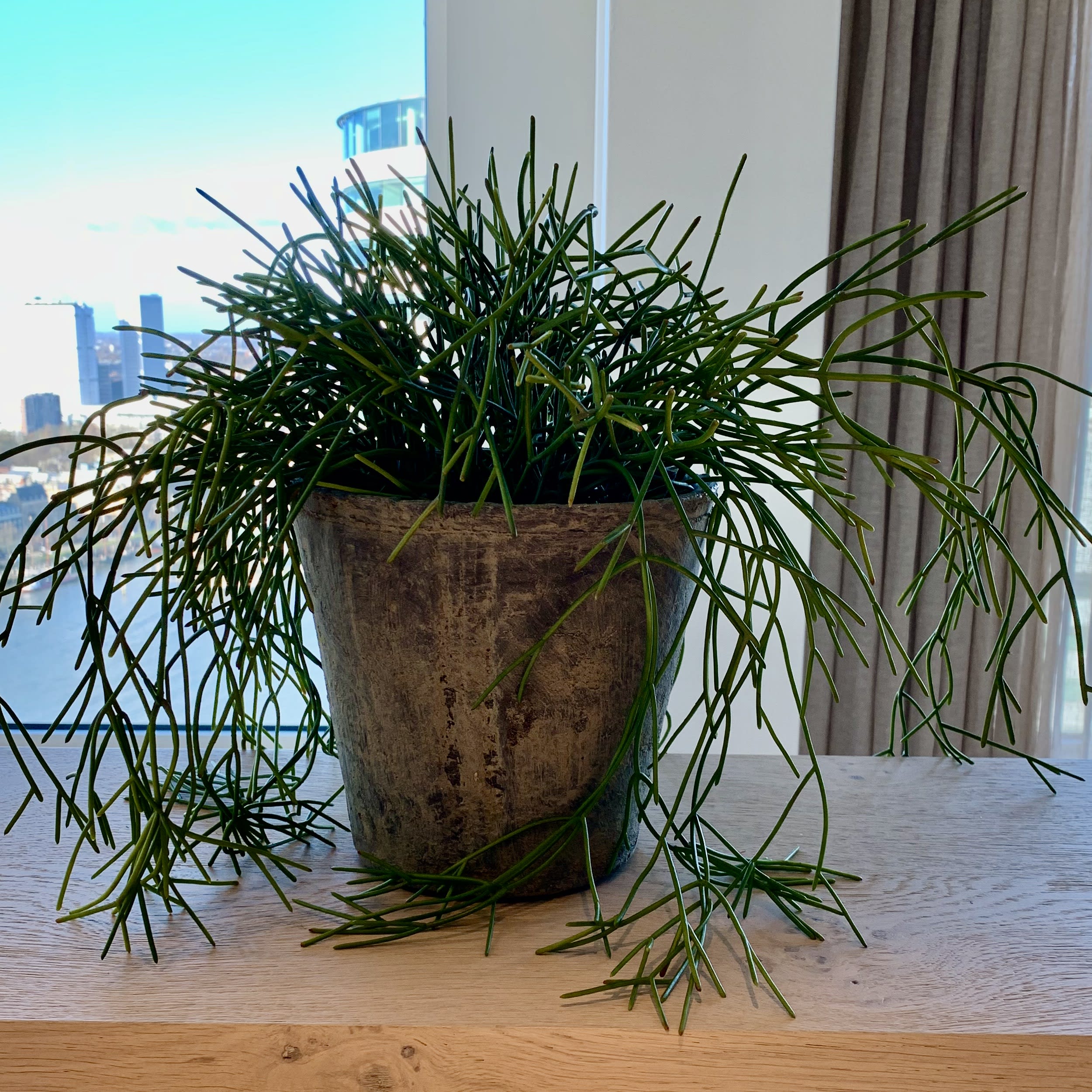 7E20FDC7 68AB 4AD6 B3A7 651818144AC6 1 201 a