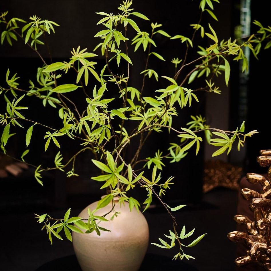 FlowerDutchess bladtak 132251 132252 132253 shop the look 2020 e1611236223316