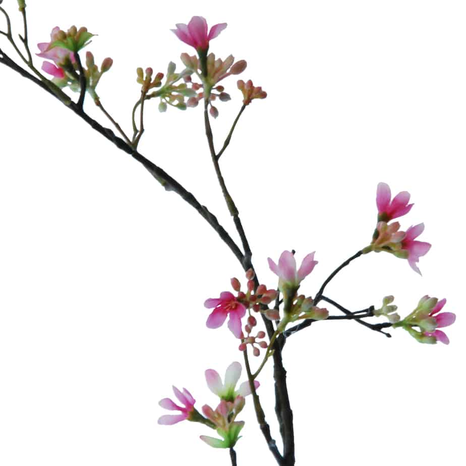 FlowerDutchess Zevenzonen tak 100cm roze 2