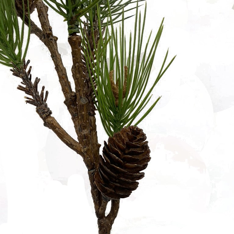 FlowerDutchess pinus dennenappel 75 groen 12