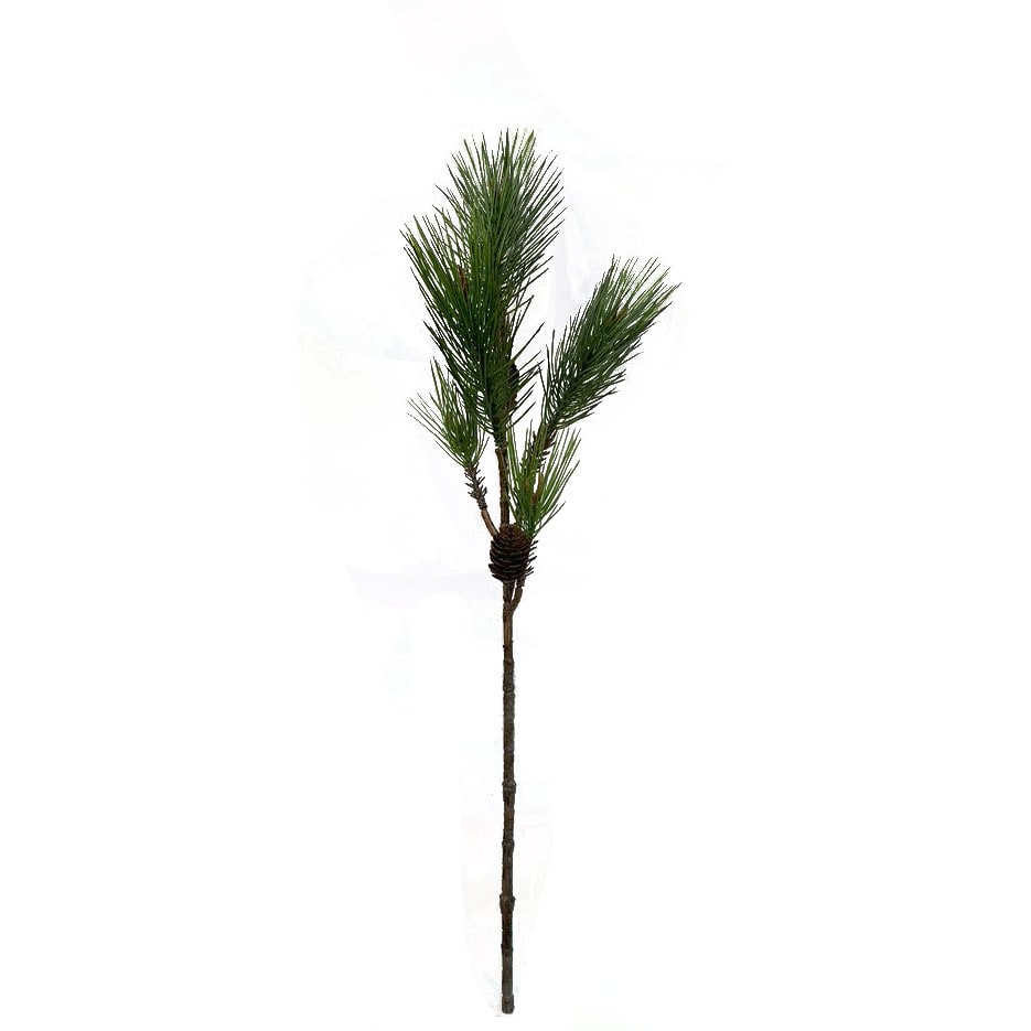 FlowerDutchess pinus dennenappel 75 groen 11