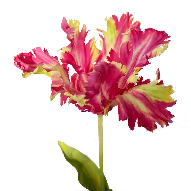 FlowerDutchess zijden bloemen kunstbloemen parkiet tulp fuchsia geel real touch 2