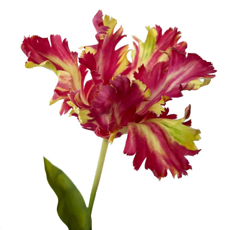 FlowerDutchess zijden bloemen kunstbloemen parkiet tulp fuchsia geel real touch 1