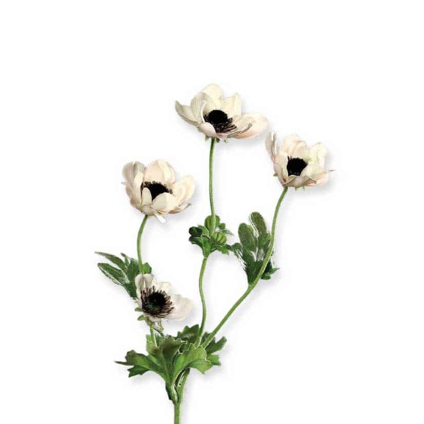 FlowerDutchess zijden bloem anemone 64cm wit