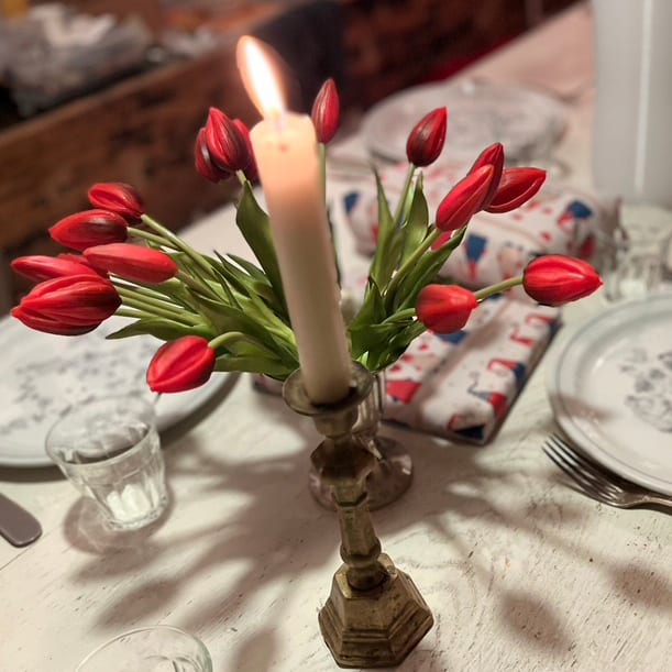 FlowerDutchess Tulpjes bosjevan3 24cm rood 2