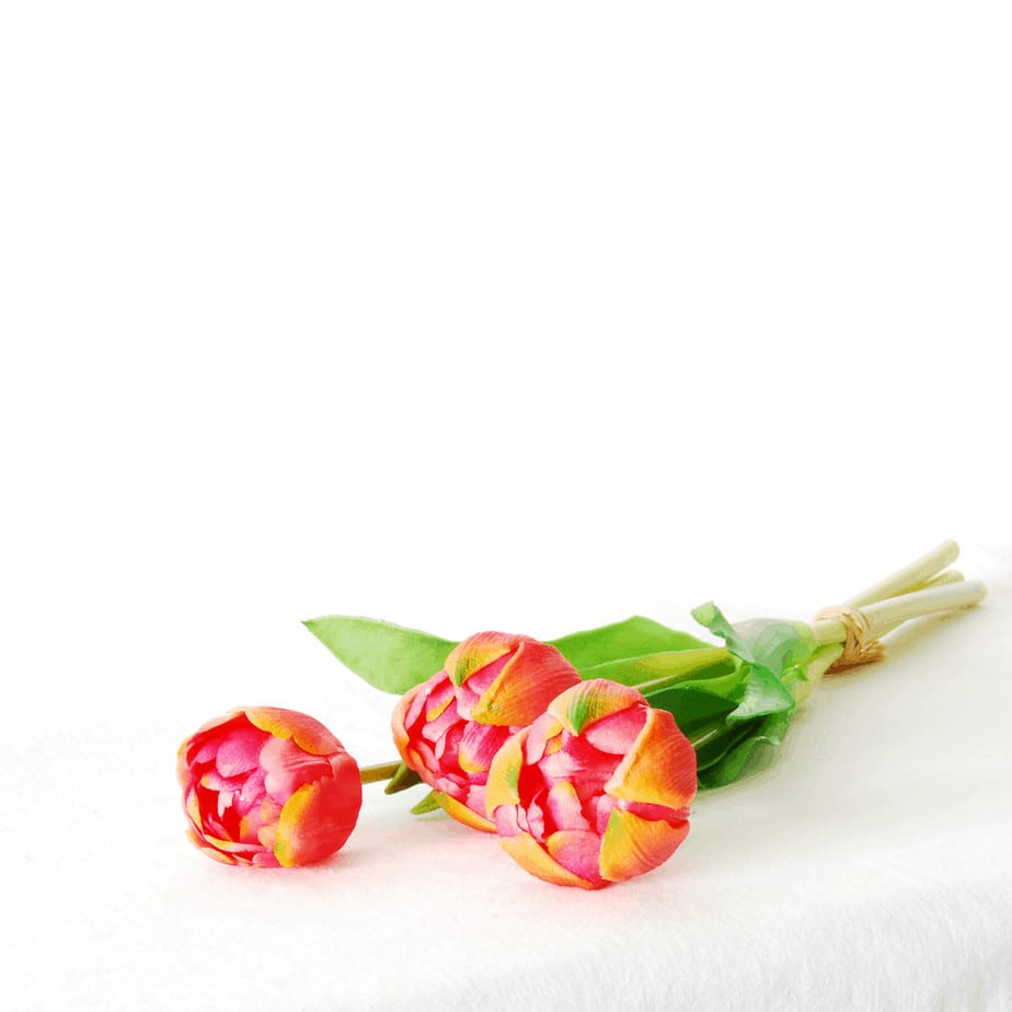 Peony tulip bundle 3 fuchsia 39cm detail