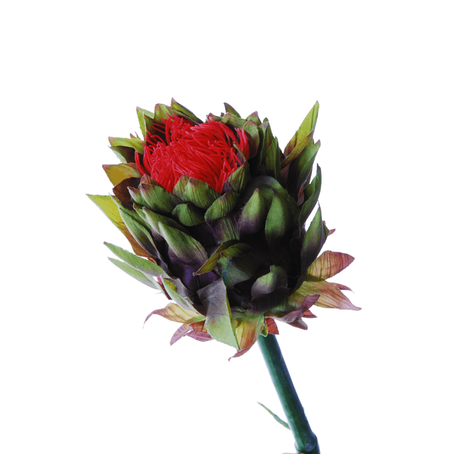 FlowerDutchess Artisjok detail 3 1