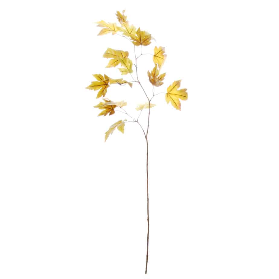 Esdoorntak 110cm groen geel 5