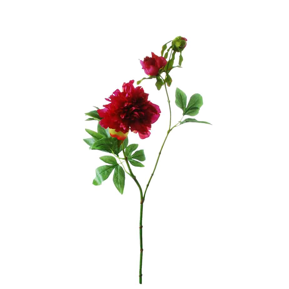 Pioenroos 63cm fuchsia met knop 1