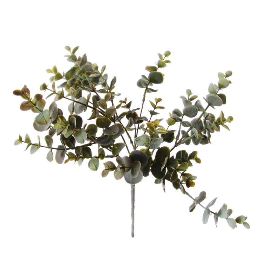 Eucalypthus 35cm detail 1