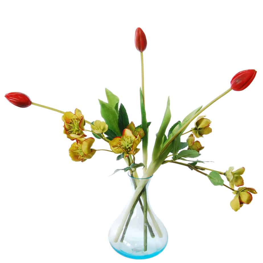 FlowerDutchess Helleborus tulp knop rood