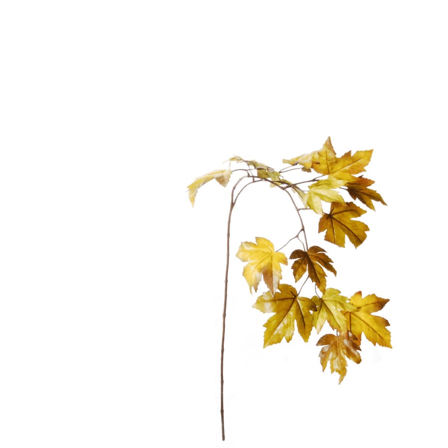 Esdoorntak 110cm groen geel 2