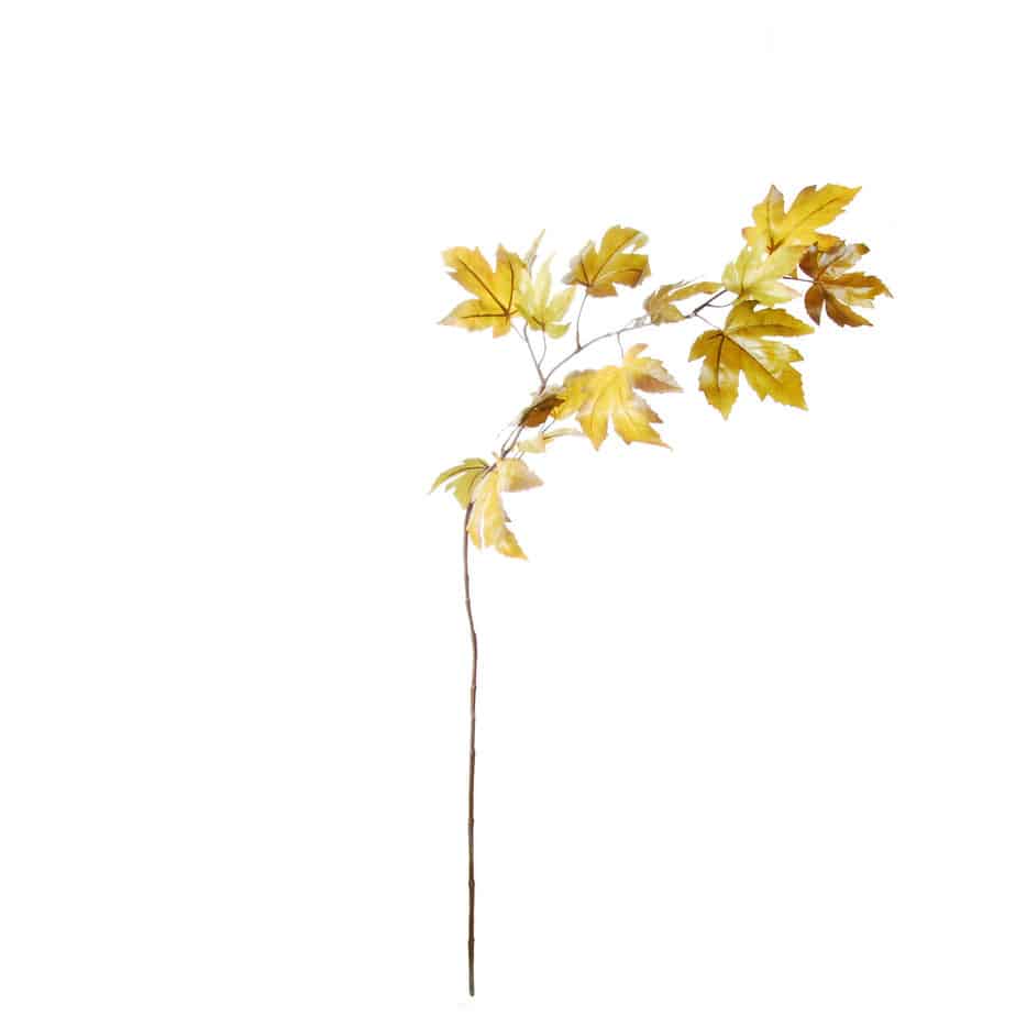 Esdoorntak 110cm groen geel 7