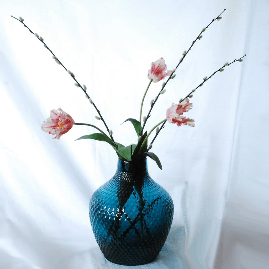 FlowerDutchess rembrandt tulpen roze lente