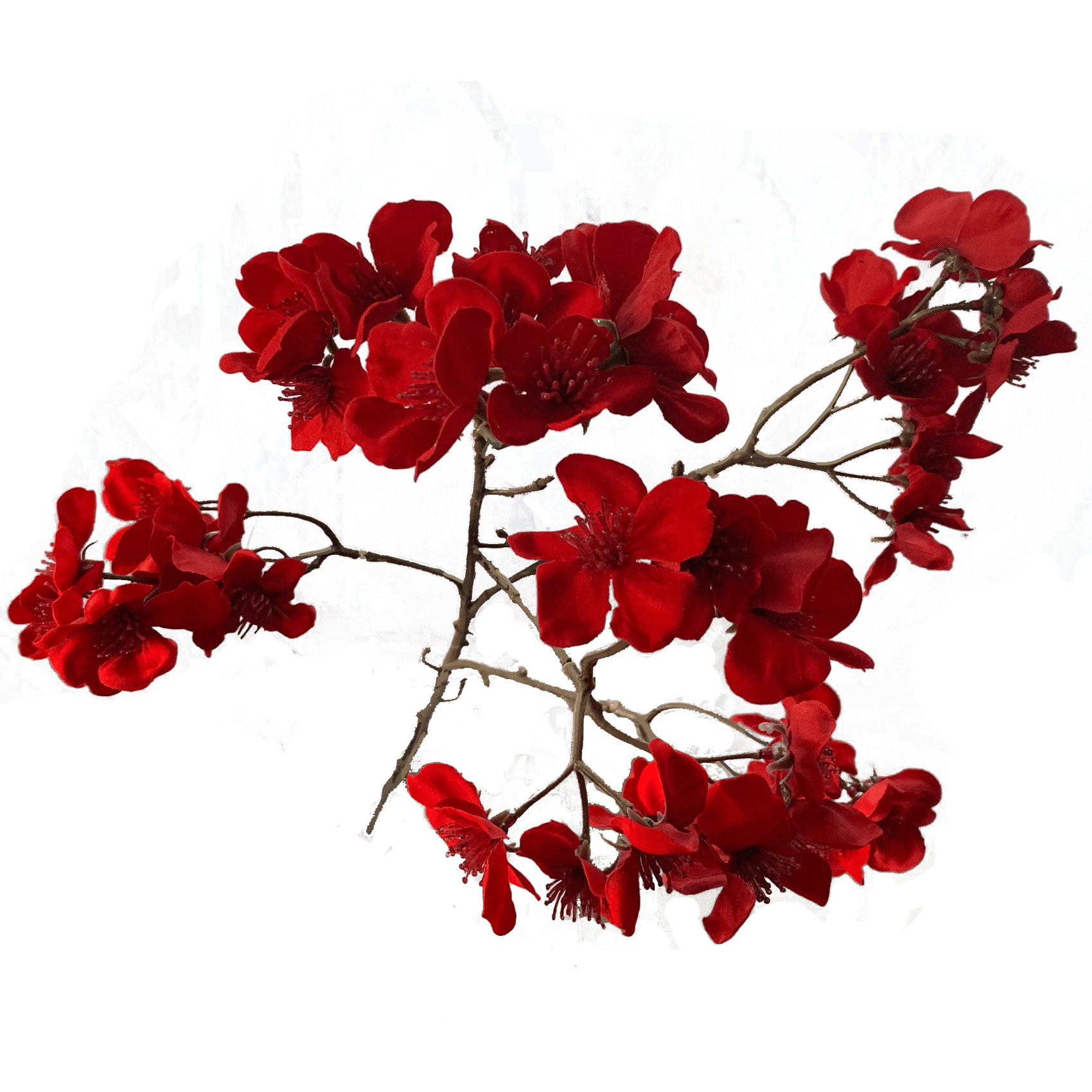 FlowerDutchess cherryblossom detail 3