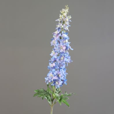 Delpinium 107cm light blue 1