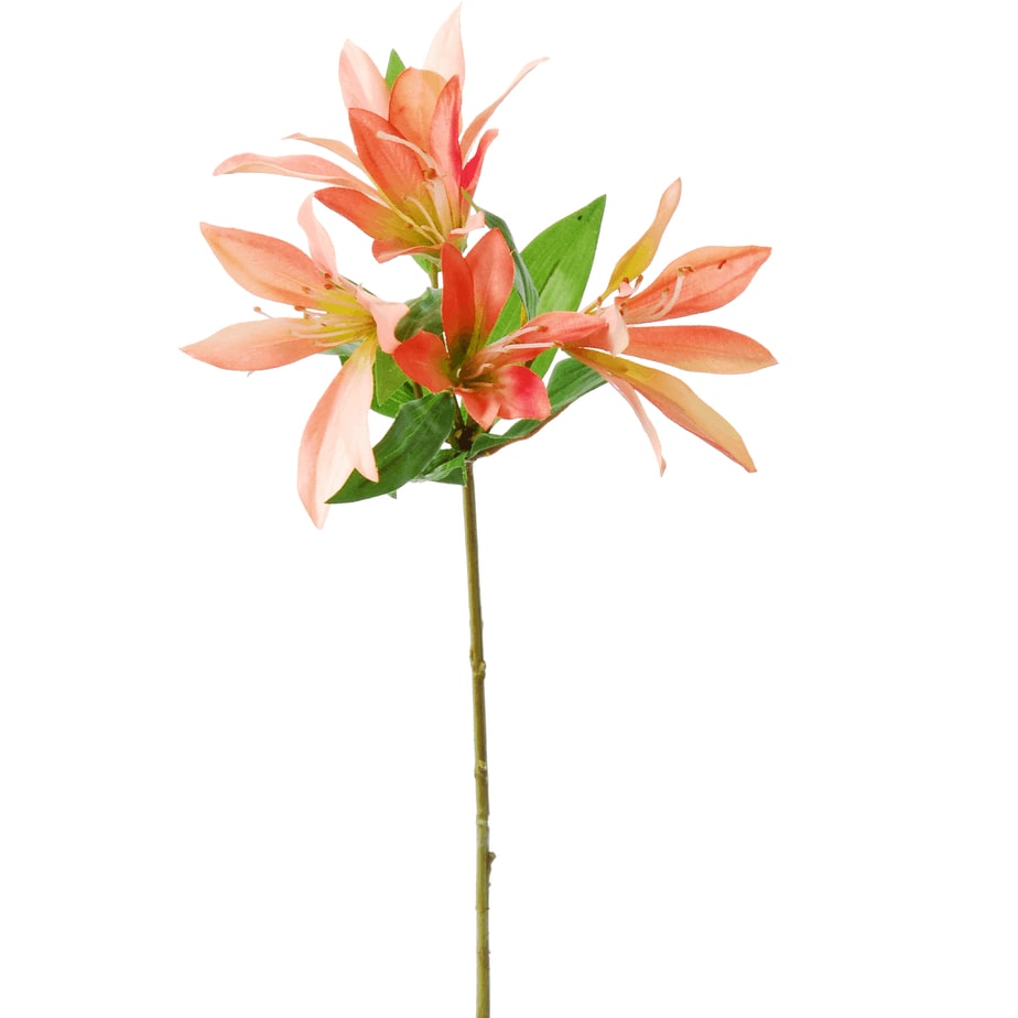 FlowerDutchess Lilium 63cm salmon 1