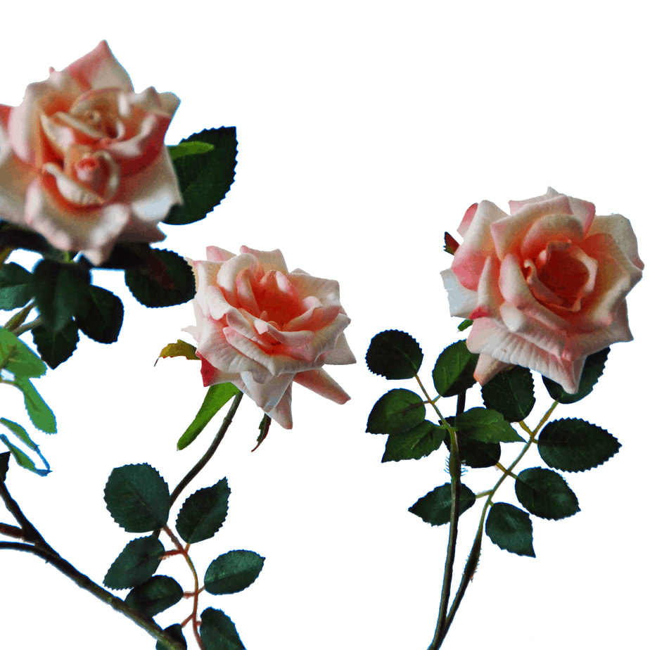 Rose x 3 79 cm edited 3 1