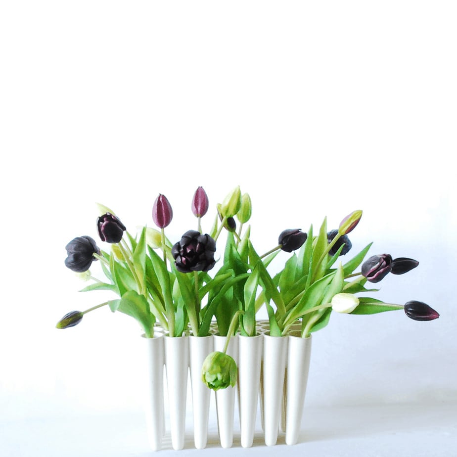 purple green white tulips 1