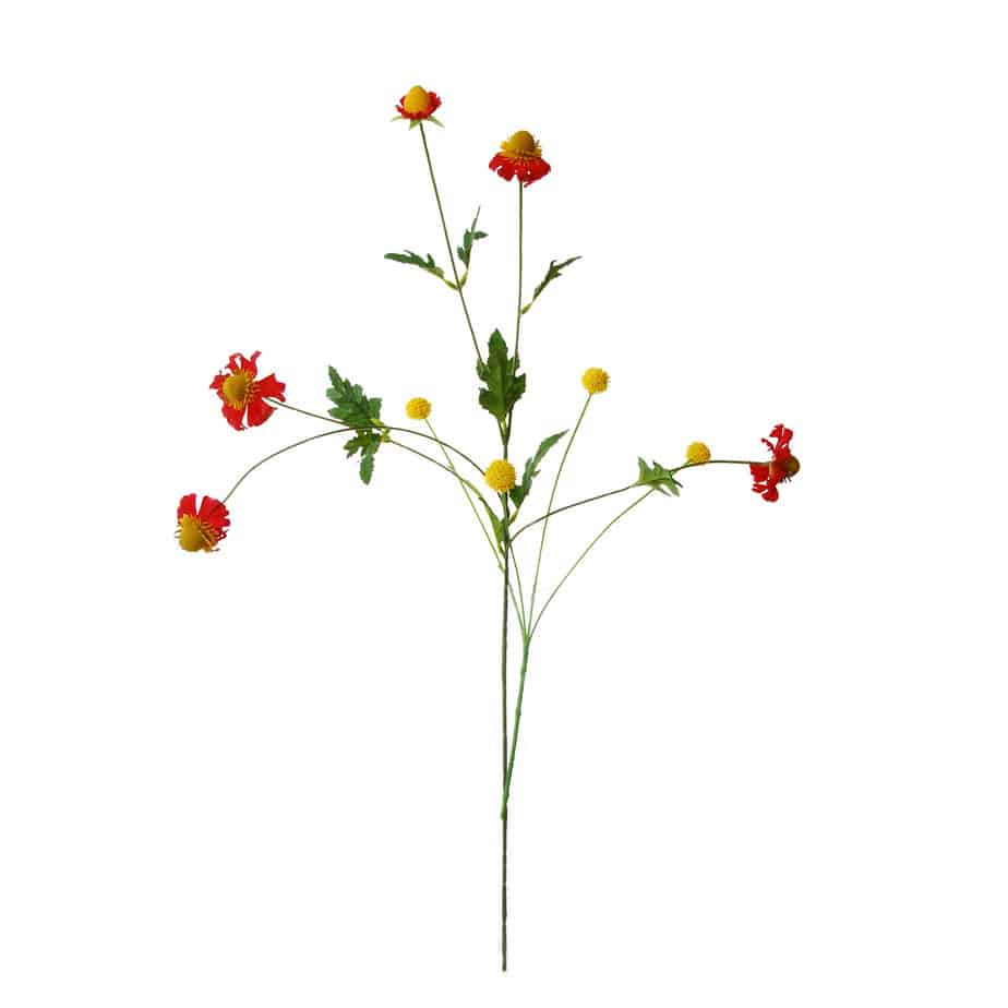 FlowerDutchess Kogeldistel rudbeckia