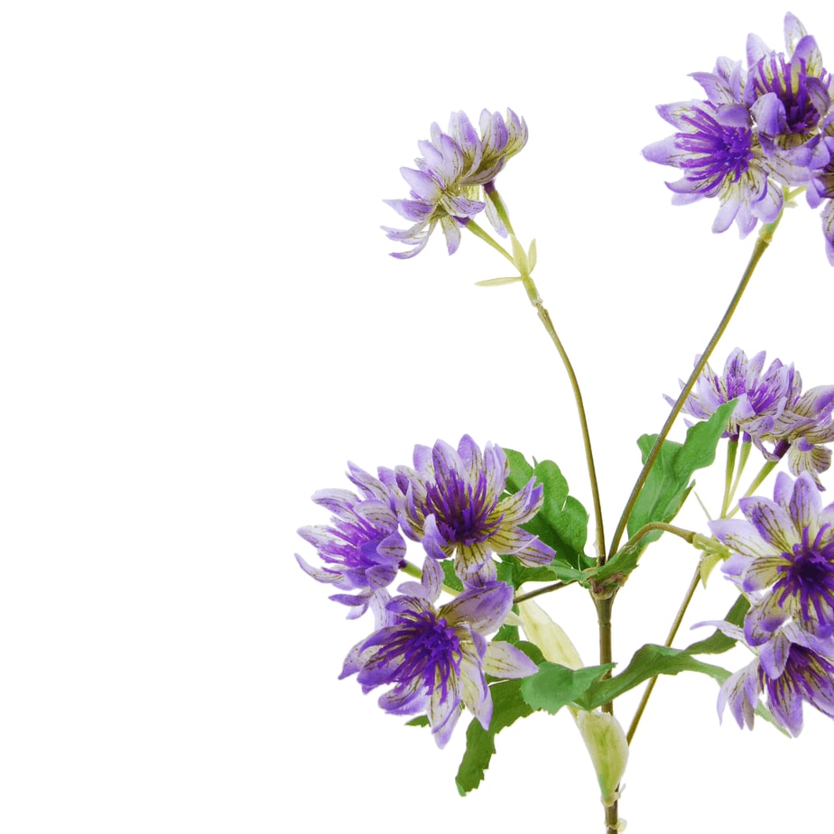 diamond flower purple 2