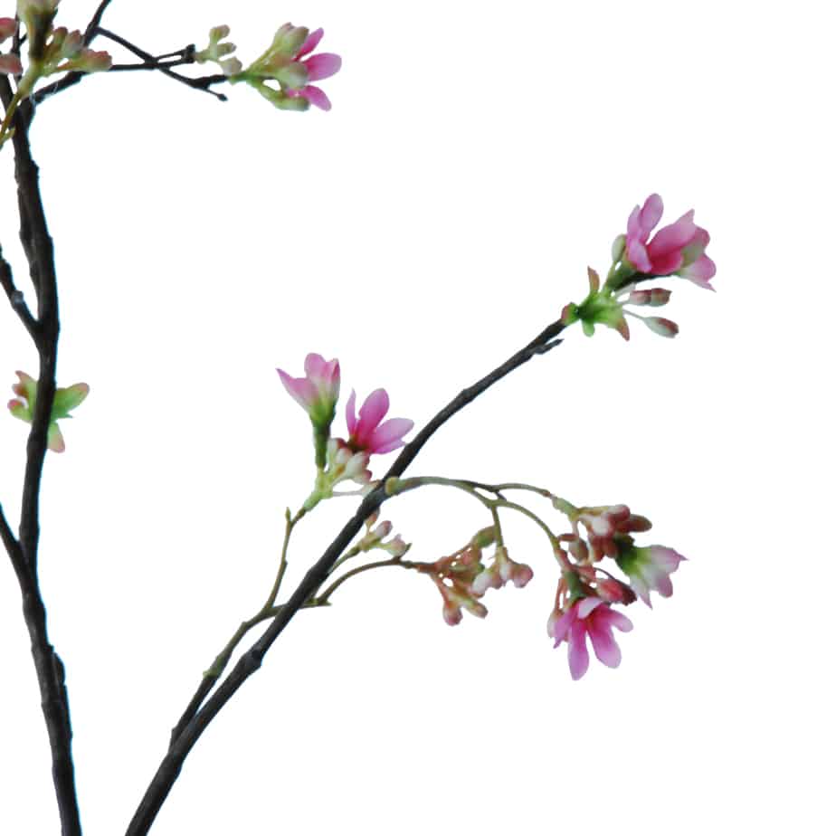 FlowerDutchess Zevenzonen tak 100cm roze