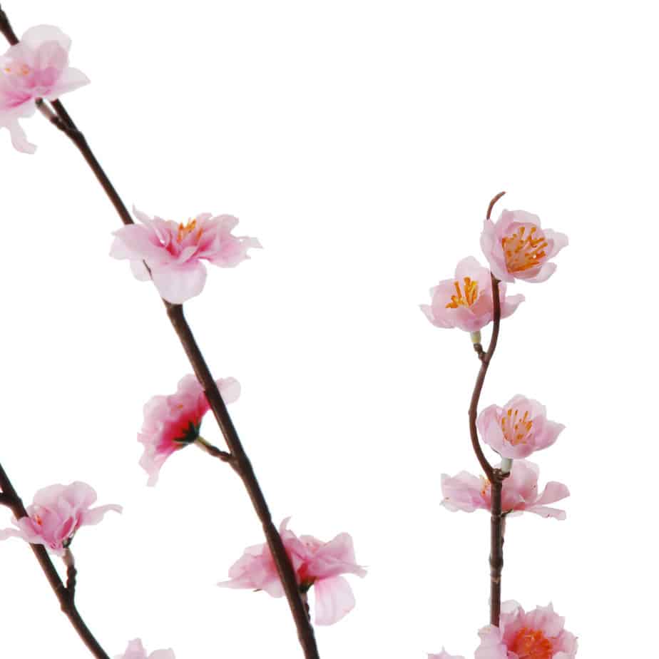 Japanese cherryflowerspray fuchsia 100cm 4