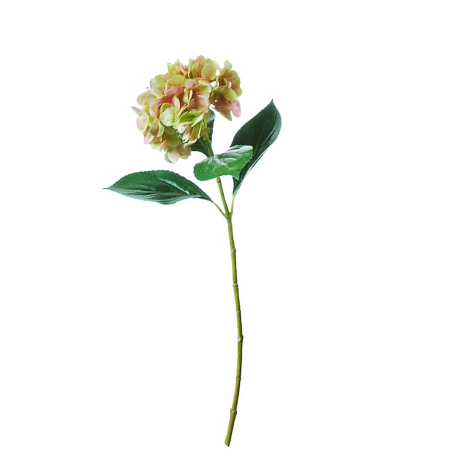 Flowerdutchess Hortensia 67cm groen licht roze