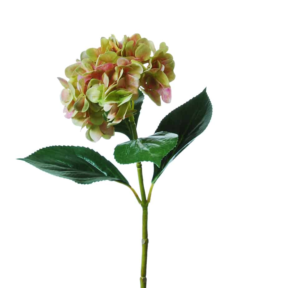 Flowerdutchess Hortensia 67cm groen roze detail2