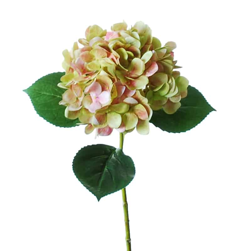 Flowerdutchess Hortensia 67cm groen licht roze 2