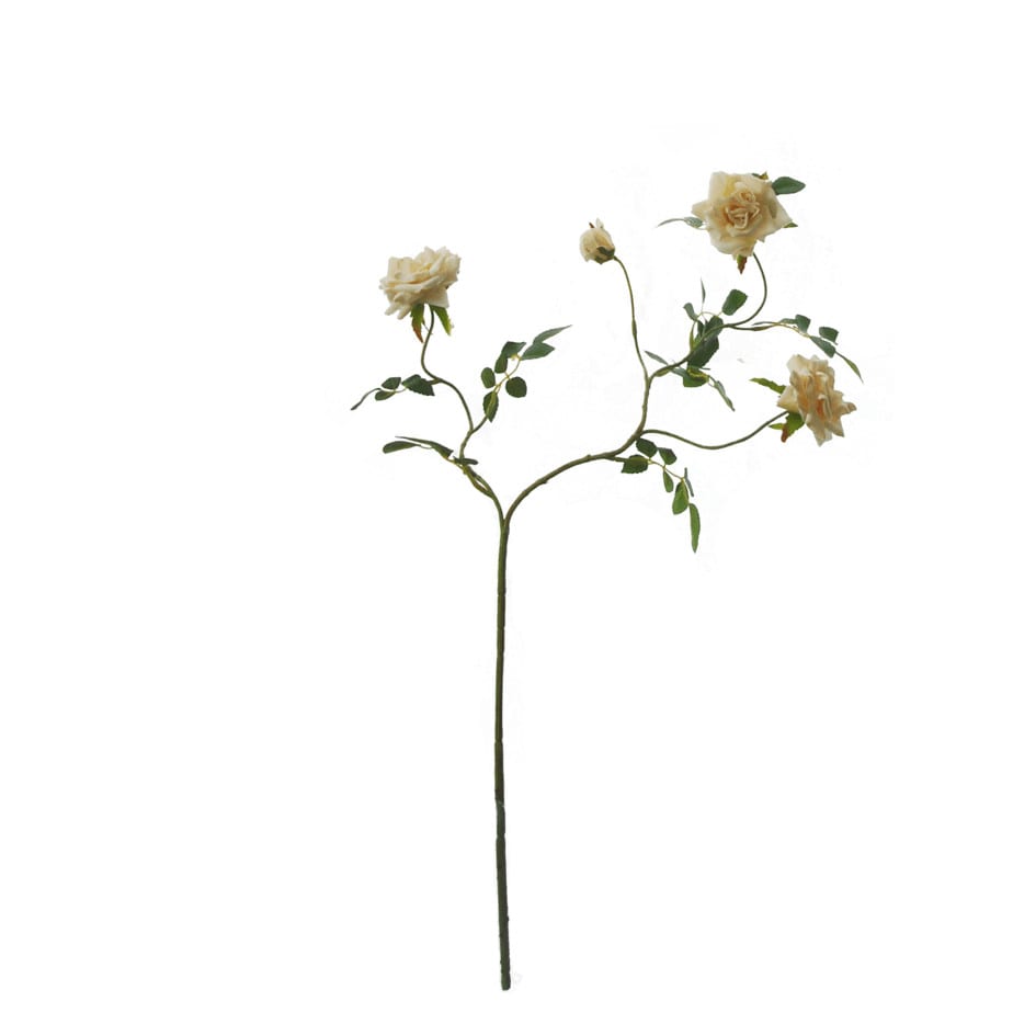 FlowerDutchess rozentak creme 3