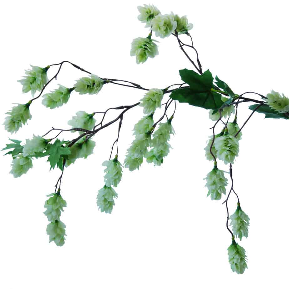 FlowerDutchess Hop 96cm detail 3