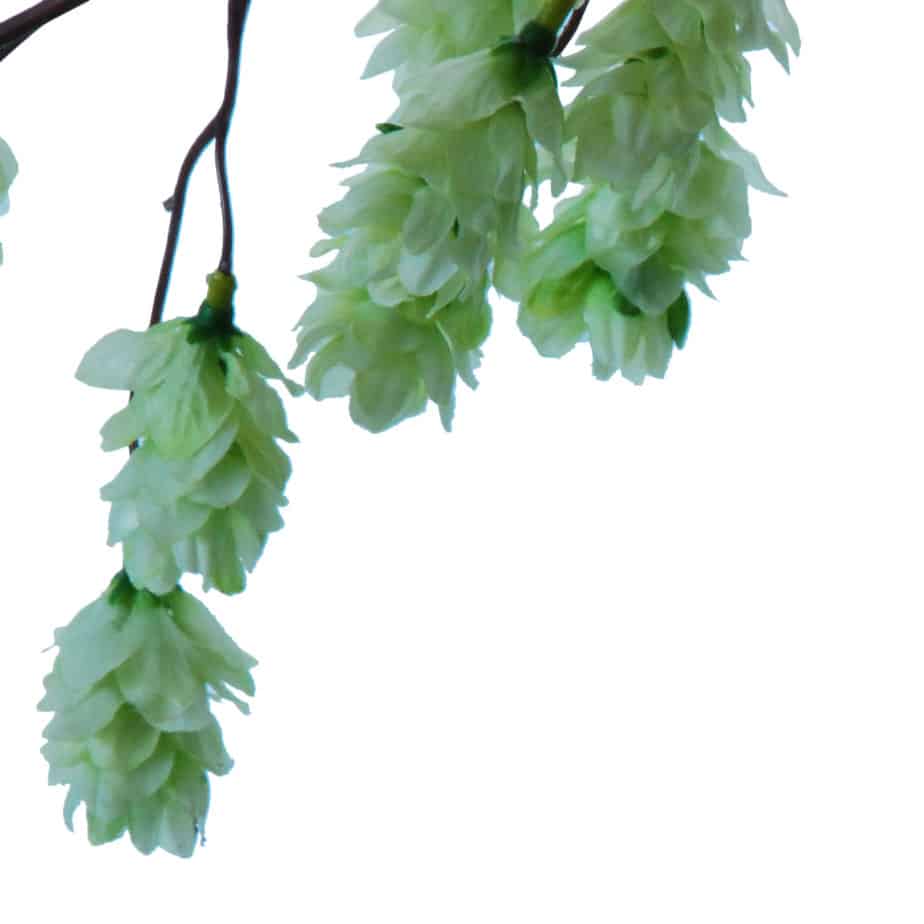 FlowerDutchess Hop 96cm detail 4